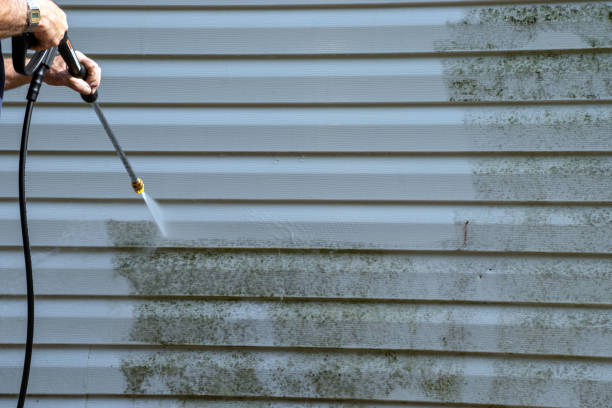 Best Aluminum Siding Installation  in Allen Park, MI